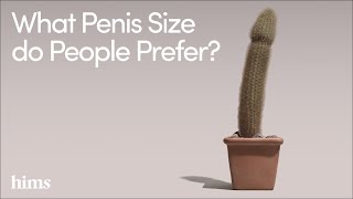 Hims What Size Penis Do Women Prefer?
