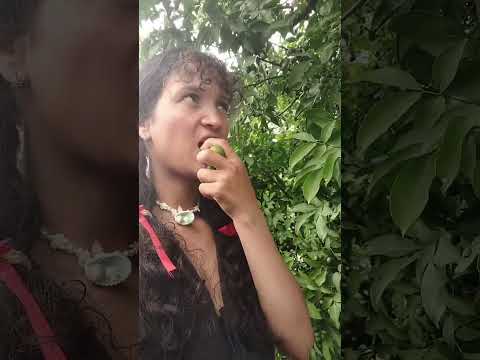 estación cocorna, a , puerto triunfo ,conociendo Colombia con yesse 🌸 🦁.......
