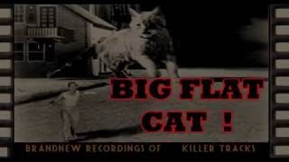 ROD WILLIS THE CAT ( version  non officiel)