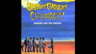 Chixdiggit - Don&#39;t believe what you read