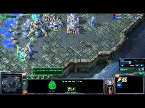 Starcraft II - inv vs rubik