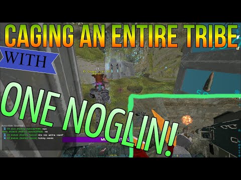 We Cage An Entire Tribe With 1 Noglin!! Cave Wipe!! - Small Tribes PVP - Ark Survival Evolved 2021