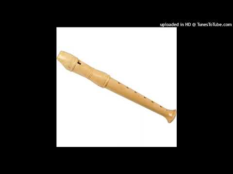 Type Beat "flöjtish" | 2022 Swedish HipHop / Trap Instrumental