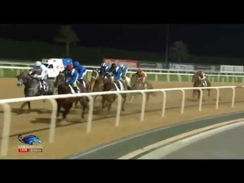 26.02.2015 Meydan (Dubai/UAE) 5.Race Al Naboodah Commercial - Handicap 1.400 m