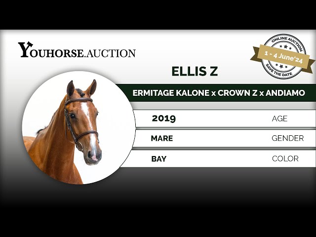 Ellis Z@ home Loose jumping & riding