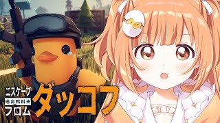 𓊆 エスケープ フロム ダッコフ 𓊇 エリアゼロ～倉庫エリア！物資あつめて脱出だ！！ 𓊆 雲母たまこ/にじさんじ 𓊇