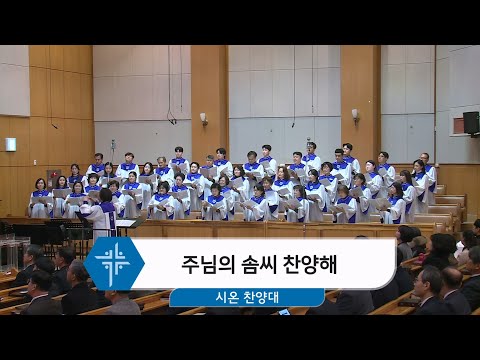 [26.02.01] 시온 찬양대 - 주님의 솜씨 찬양해 대표이미지