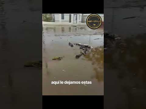 RadiotvconStylo: Fuertes lluvias causaron Caos en el Municipio San Francisco en el Estado Zulia
