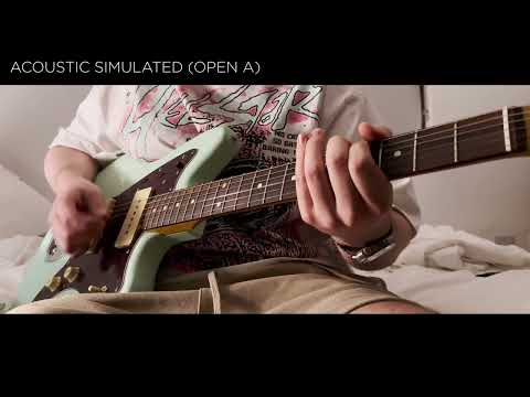White Shores - The Story So Far