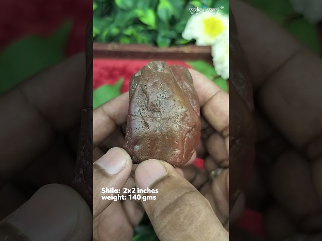 Siddh Mahadev Shila Stone to Seek Blessings for Spiritual Growth, Peace and Prosperity video