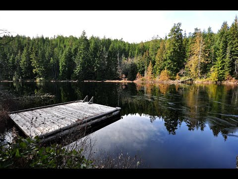 LT 26 Stebbings Road | Malahat - The Agency