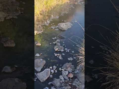 Ausoles en Chilanguera, Chirilagua San Miguel