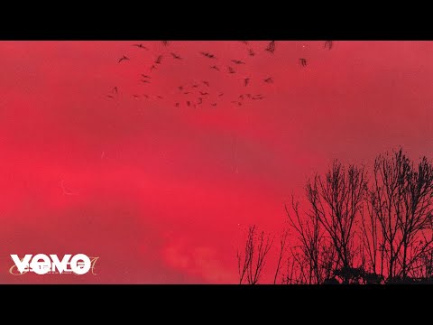 Medina Kid & Amex - Vivo Bien (Audio) ft. Beauty Pikete, Dirty Suc, Vibrah