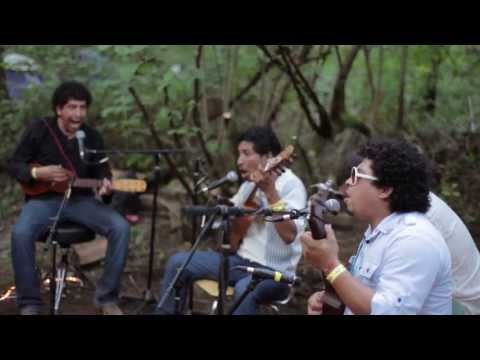 Los Cojolites - El Coco (Live @Pickathon 2012)