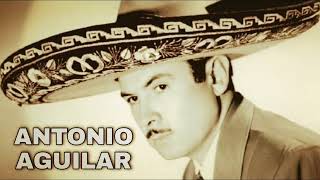 Sentimiento de dolor. (Antonio Aguilar)