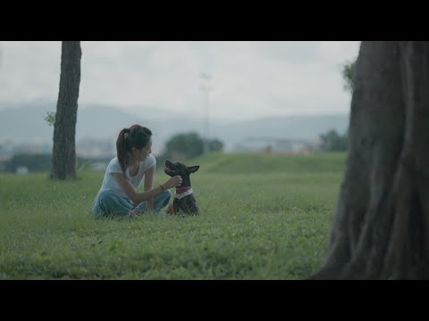 你救我救 別再視而不見