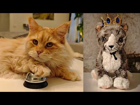 Buster's Nemesis Returns!