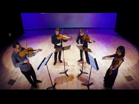 J.S. Bach - Chaconne for 4 violas (arranged by Ichiro Nodaira)