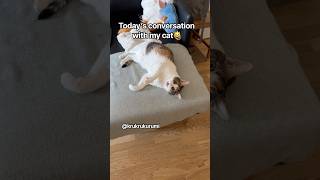 Conversation with my cat😺#cat #cats #catvideos #katze #funny #ねこ #funnycats #cute #catshorts