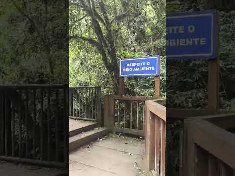 Caminho para a cachoeira véu da noiva em DR Pedrinho SC