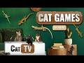 Cat TV Lizards All Your Favorites All DAY Larry The Lizard Friends 8 Hours