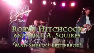 Mad Shelly's Letterbox Robyn Hitchcock Live