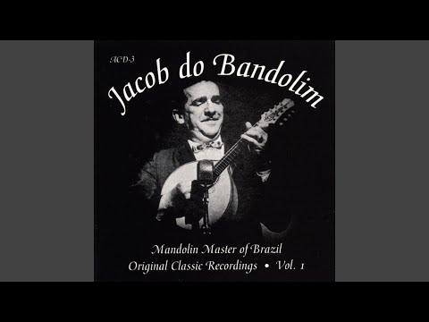 O Voo Da Mosca