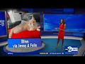 Eyewitness News Super Cat Saturday July 29 2023 Featuring Brittany Bell