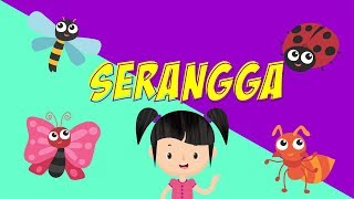 PETUALANGAN SI BUNBUN - Belajar Mengenal Nama-nama Serangga dalam Bahasa Inggris Bagian 2