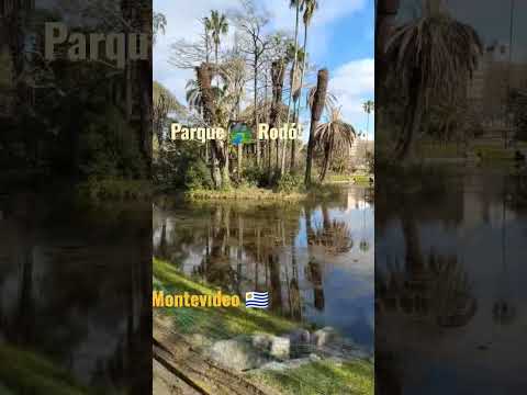 Montevideo 🇺🇾🌿🌲 Parque Rodó! 🌵🌅🌴