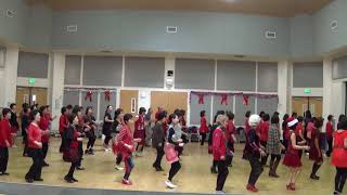 Electric Slide 12-1-2017  Christmas Party