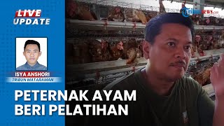 Tak hanya Demi Untung, Kisah Agung Susanto Peternak Ayam Petelur Kediri Beri Pelatihan Wirausaha