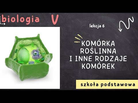 Biologia klasa 5 [Lekcja 6 - Komórka roślinna i inne rodzaje komórek]