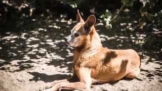 Never Too Old for Love