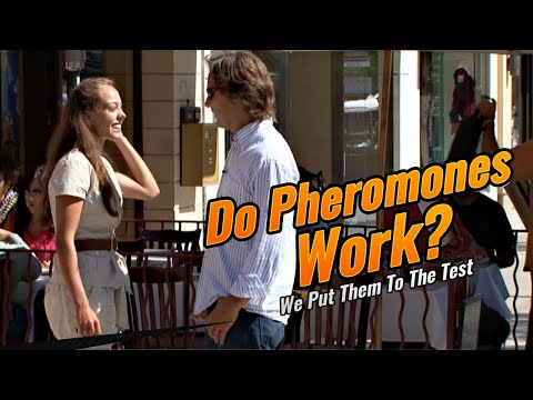 Do Pheromones Really Work?