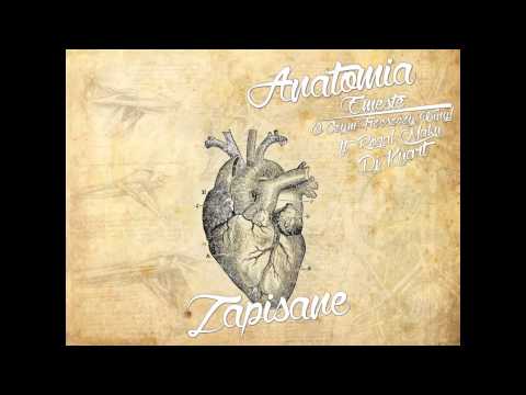 2. Emeste x O.C.T.W Anatomia - Zapisane feat. Maku, Rogal, Dj Kuart