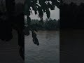 Ft Do Anything Ilayaraja Kerala