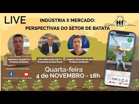 Indústria x Mercado: Perspectivas do setor de batata