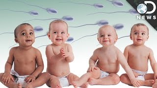The Disturbing Truth About Sperm Banks