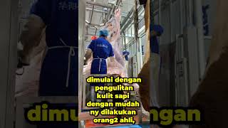 Download lagu Rumah potong hewan yang rekomendasi sehat dan bersih mp3 Download lagu Rumah potong hewan yang rekomendasi sehat dan bersih mp3