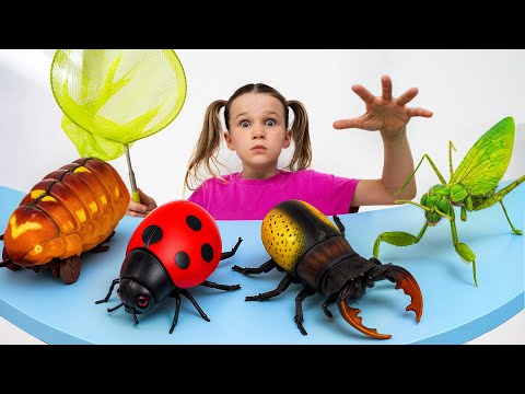 Catching Bugs at Home: Amazing Insect Facts & Sounds for Kids