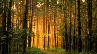 I Wish My Baby Was Born (Traditional) - 1759