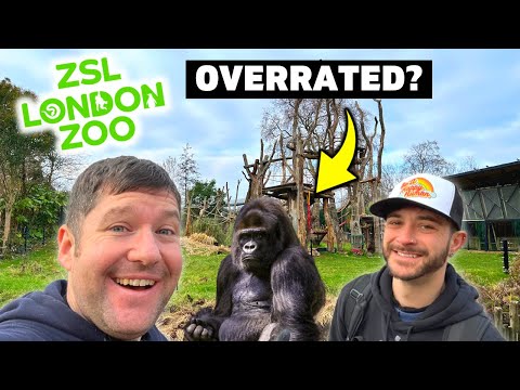 Is London Zoo ACTUALLY Worth It?