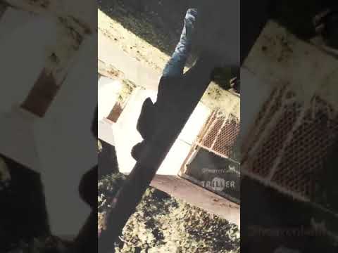 Load up them cutters by s.o.s scopegang jay