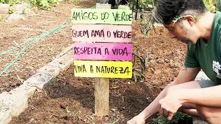 Santos inicia Mês do Meio Ambiente com plantio de árvores e programação educativa