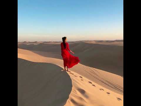 Bài ca phiêu lãng - Hoàng Thông