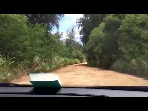 Four-wheeling in the rental car - 2