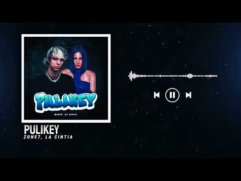 Zone7, La Cintia - Pulikey (Original mix)