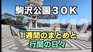 【めざせ320】３０km走と行間の幸せ #サブ４ #サブ35