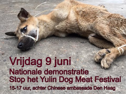 Stop Yulin protest The Hague 2017